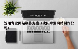 新安沈阳专业网站制作方案（沈阳专业网站制作公司）